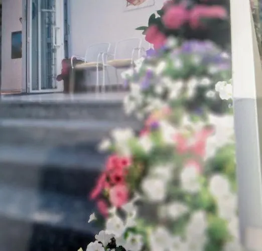 Marina شقة فندقية ألاسيو